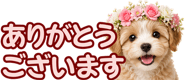 856591179