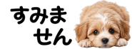 856591181