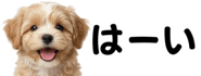 856591183