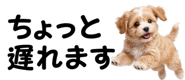 856591186