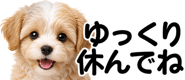 856591188