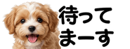 856591189