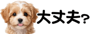 856591190