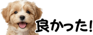 856591191