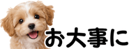 856591192