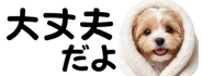 856591193