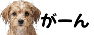 856591199