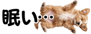 856591205