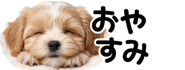 856591208