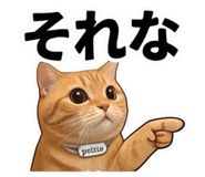 856592155