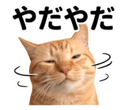 856592158