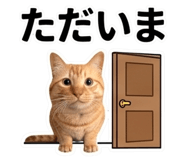 856592160