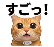 856592163