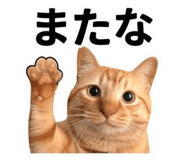 856592166