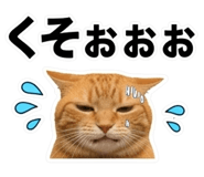 856592168