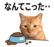856592169