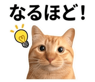 856592170