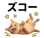 856592173