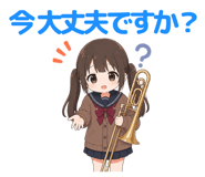 856592462