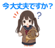 856592550