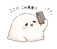 856593092