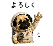 856593396