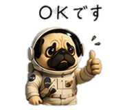 856593398