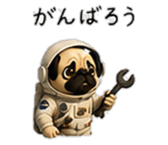 856593405