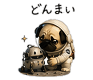 856593406