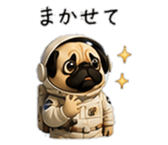 856593407