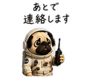 856593413