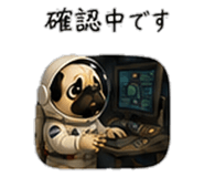 856593414