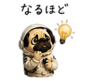 856593415