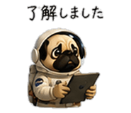856593416