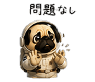 856593417