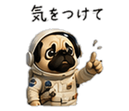 856593418