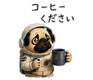 856593420