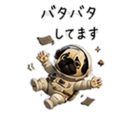 856593425
