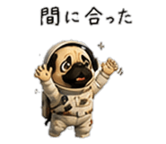 856593427