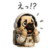 856593428