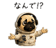 856593430