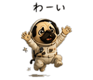 856593431