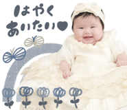 856593548