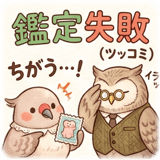 856593814
