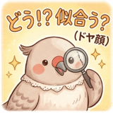 856593826
