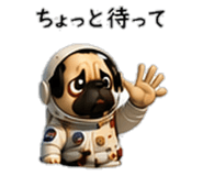 856593974