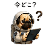 856593975
