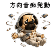 856593976