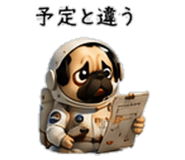 856593977