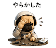 856593978